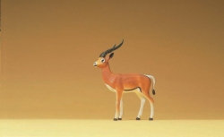 Gazelle 